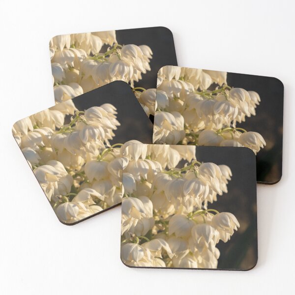 Item preview, Blossoms of a Yucca Palm in the golden sunlight 2. Floral beauty of the palm lily designed and sold by Adriana Mueller.