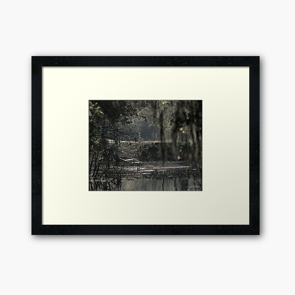 Born on the Bayou Framed Art Print