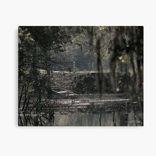 Born on the Bayou Canvas Print