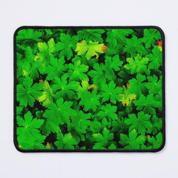 Item preview, Geraniums designed and sold by Arc1.