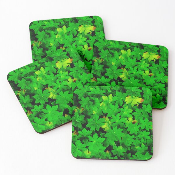 Item preview, Geraniums designed and sold by Arc1.