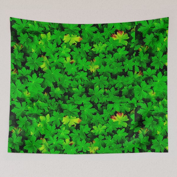 Item preview, Geraniums designed and sold by Arc1.