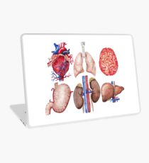 Watercolor anatomy collection Laptop Skin