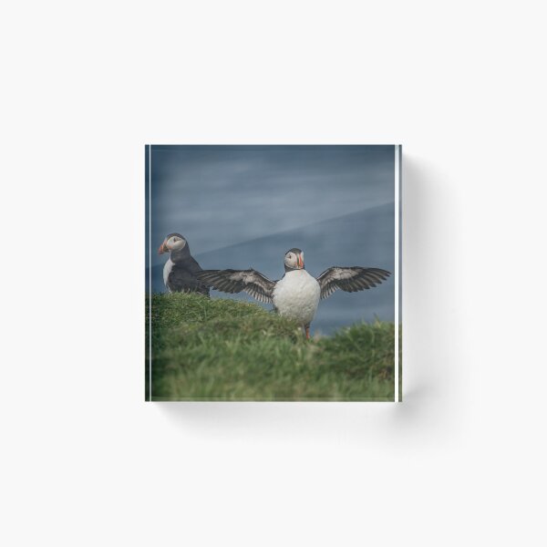 Item preview, Mykines, Faroe Islands designed and sold by Matthew Carroll.