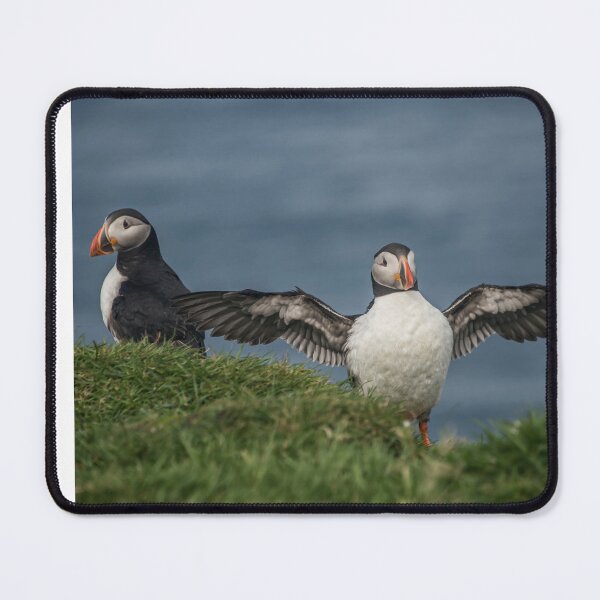 Item preview, Mykines, Faroe Islands designed and sold by Matthew Carroll.