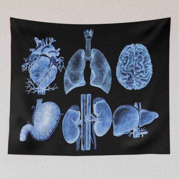 Item preview, Watercolor anatomy collection - X-rays designed and sold by Ekaterina Glazkova.