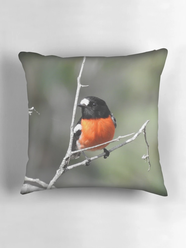 Thumbnail 3 of 4, Pillow, MR ROBIN designed and sold by Rocksygal52.