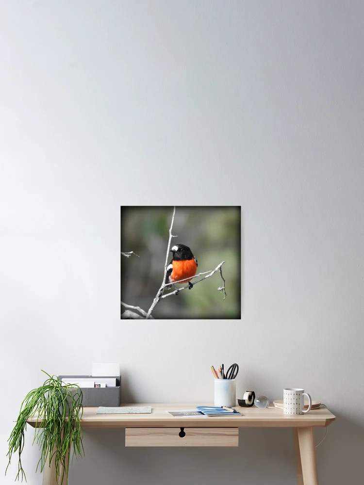 Thumbnail 2 of 3, Poster, MR ROBIN designed and sold by Rocksygal52.