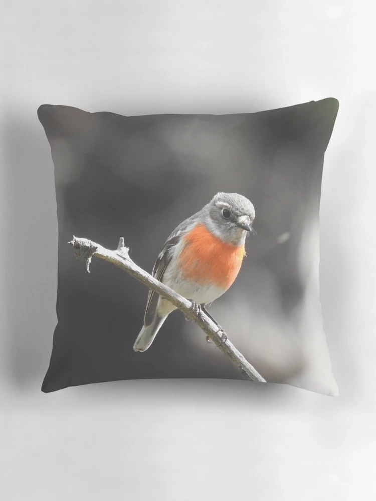 Thumbnail 3 of 4, Pillow, MRS ROBIN designed and sold by Rocksygal52.