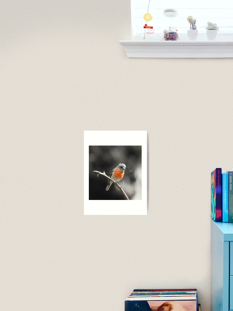 Thumbnail 2 von 3, Kunstdruck, MRS ROBIN designt und verkauft von Rocksygal52.
