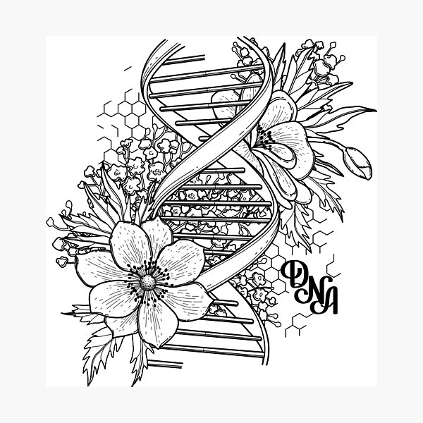Graphic DNA structure with floral design Photographic Print