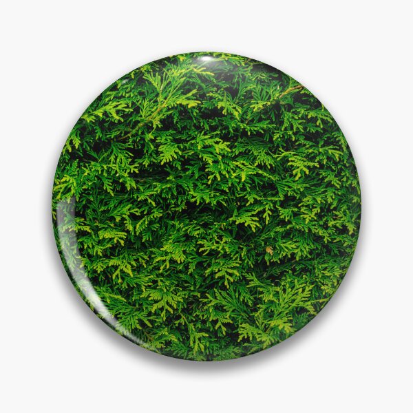 Item preview, Coniferous designed and sold by Arc1.
