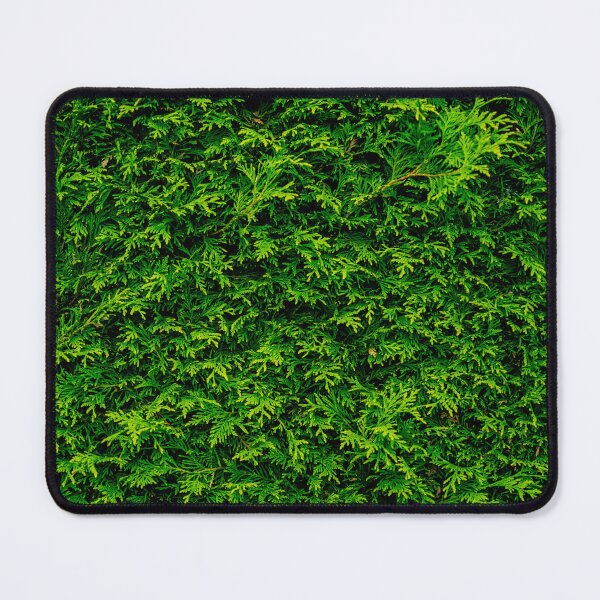 Item preview, Coniferous designed and sold by Arc1.