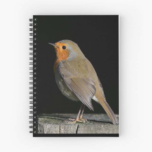 Item preview, Highlighted Robin designed and sold by ClaireChown.