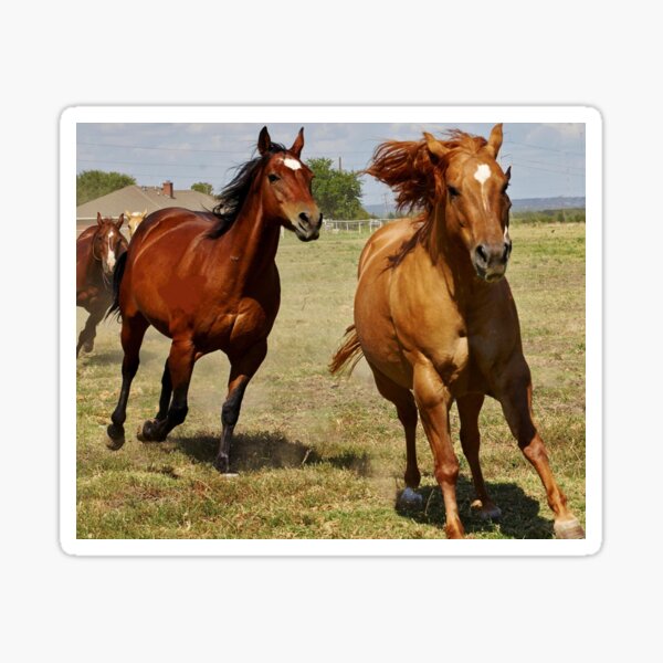 Item preview, Prairie horses. Hippodrome, horse racing. designed and sold by Oksanka21.