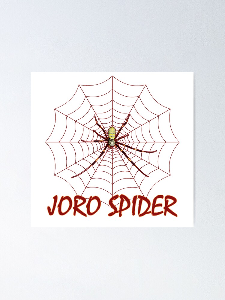 Joro Spider Not as Scary as It Looks