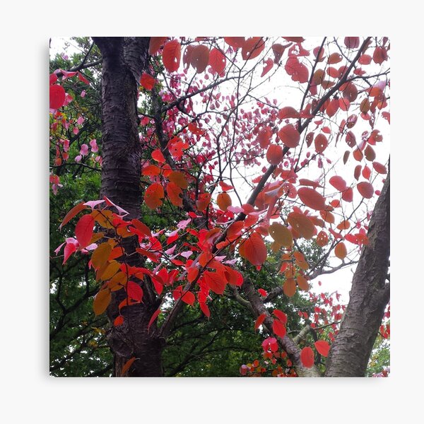 Autumn Sticker V Metal Print