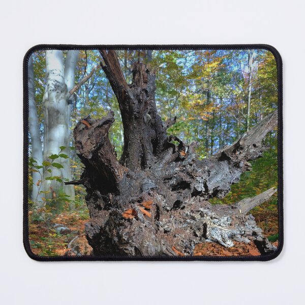 Item preview, Tree root in autumn leaves designed and sold by AdioraStore.