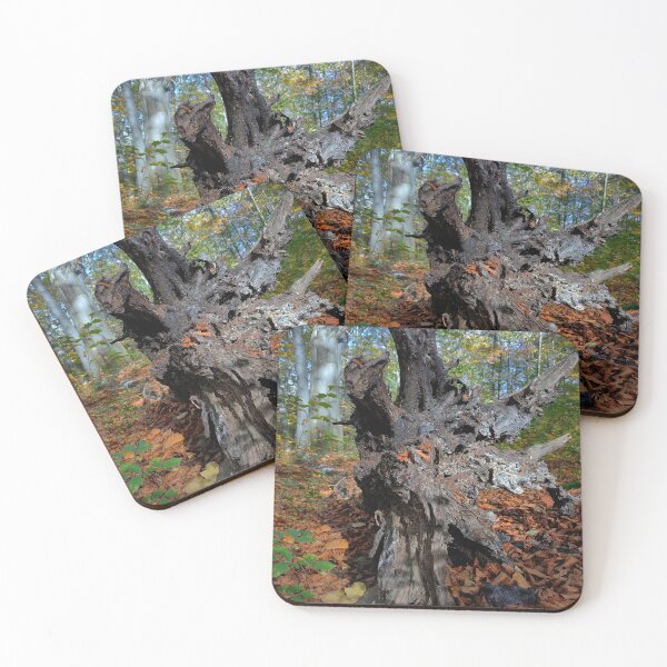 Item preview, Tree root in autumn leaves designed and sold by AdioraStore.