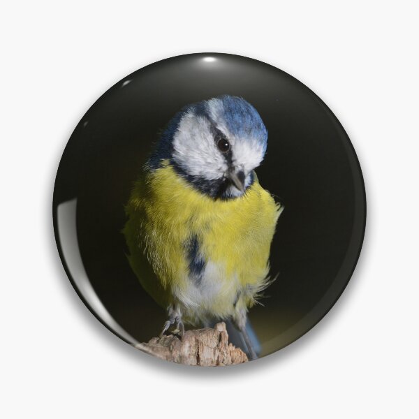 Item preview, How Cute Am I? designed and sold by ClaireChown.