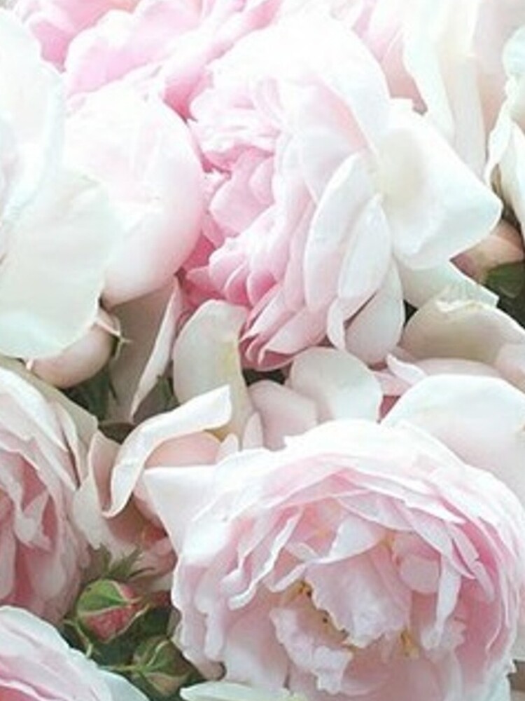 Pink and White Peonies  iPhone Case