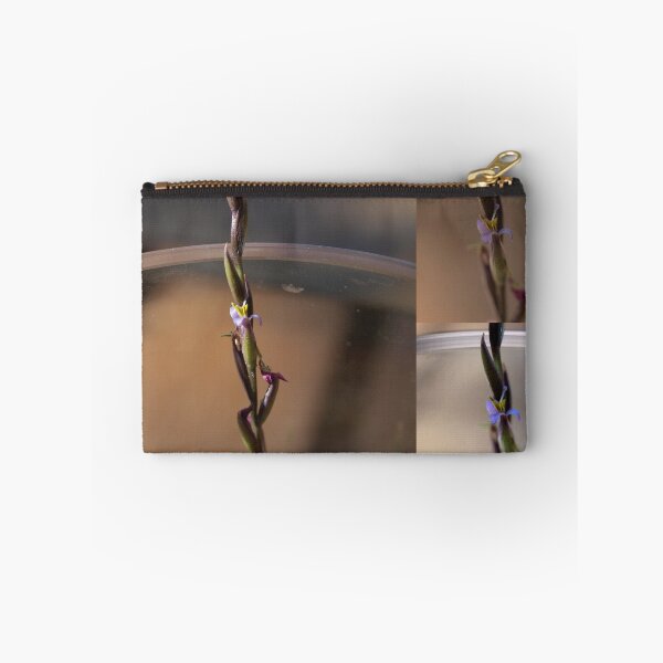 Item preview, Flower on a Bromeliad Airplant designed and sold by Tom McDonnell.