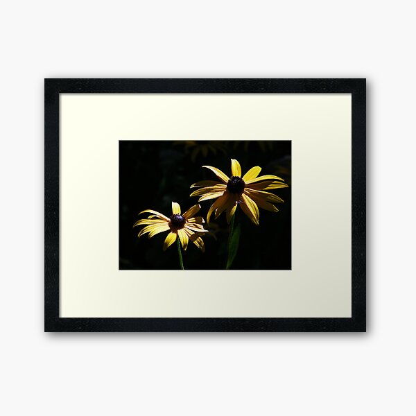 Pair of Brown Eyes Framed Art Print