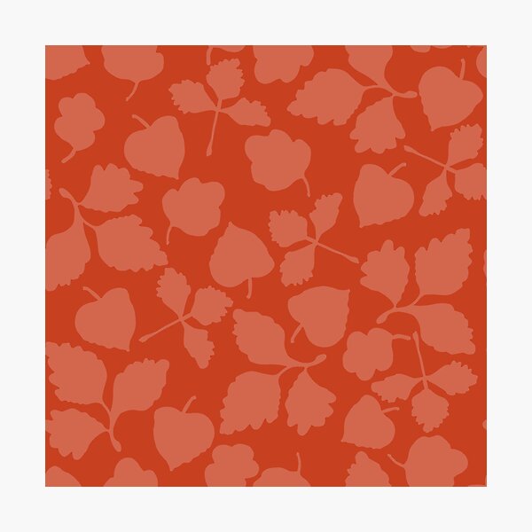 Camouflage red Photographic Print
