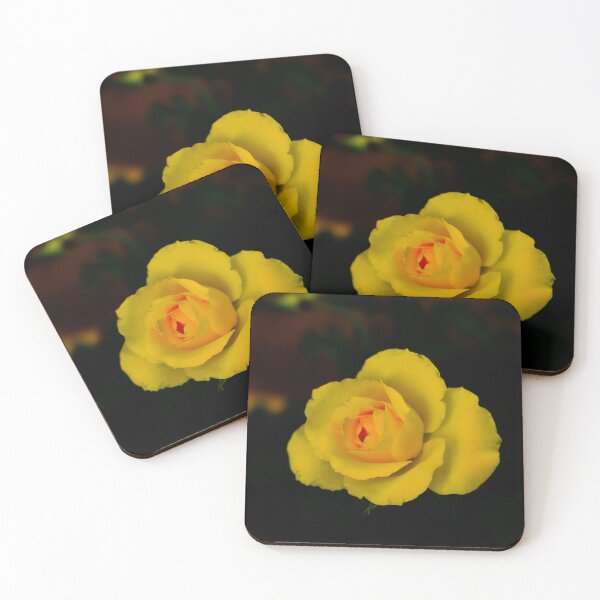 Item preview, single yellow rose blossom with red center on black background designed and sold by kall3bu.