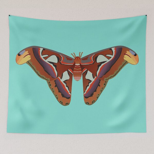 Item preview, A vector illustration of an atlas moth designed and sold by Bwiselizzy.