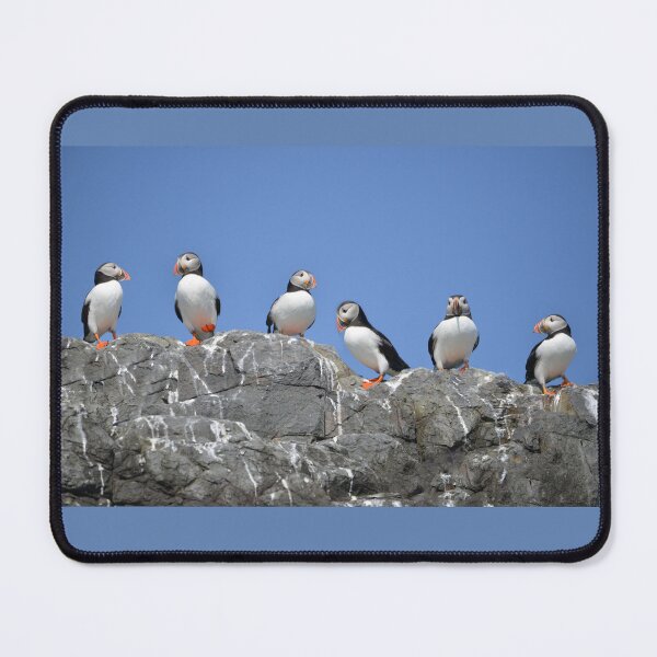 Item preview, Clifftop Puffins x 6 designed and sold by ClaireChown.