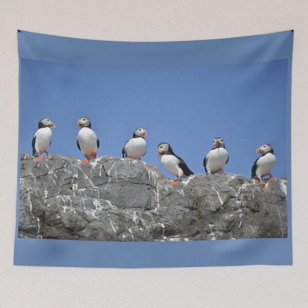 Item preview, Clifftop Puffins x 6 designed and sold by ClaireChown.