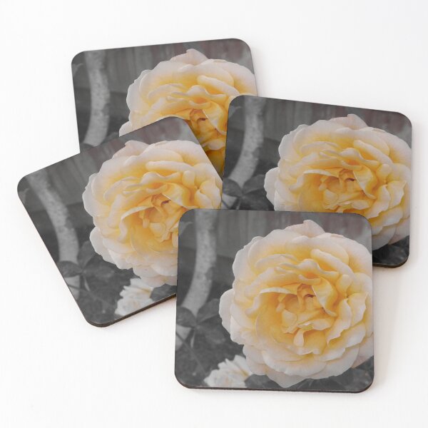 Item preview, low pigment yellow rose on grey leaves designed and sold by tasgrama.