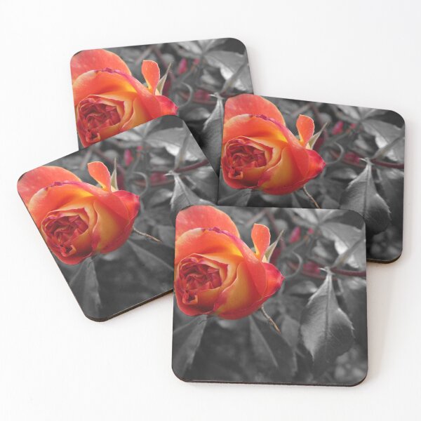 Item preview, orange and yellow rosebud on grey leaves designed and sold by tasgrama.