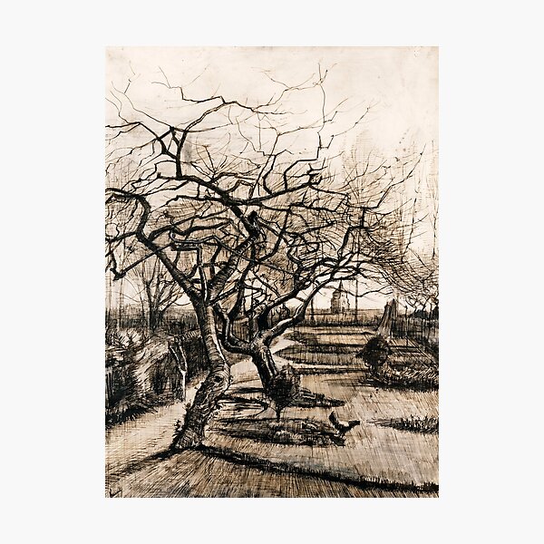 The Parsonage Garden at Nuenen in Winter by Vincent Van Gogh Photographic Print