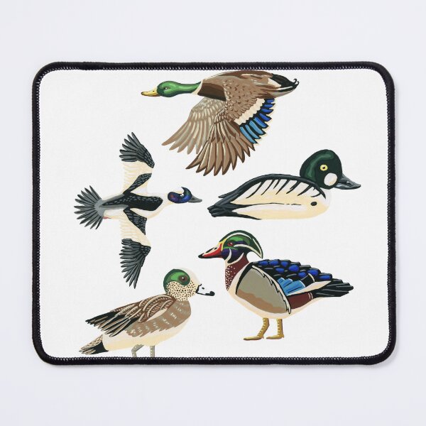 Item preview, North American Ducks designed and sold by paintedpansy.
