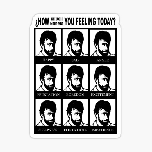 How Chuck Norris you feeling? Sticker