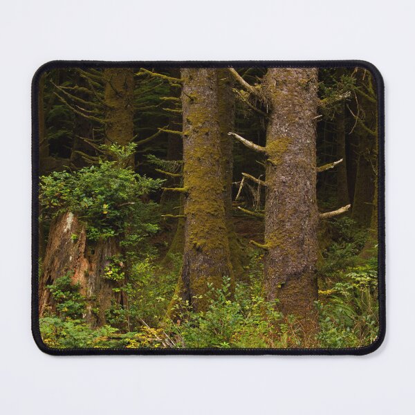 Item preview, A forest ecosystem portrait during October, 2022 designed and sold by jklune.