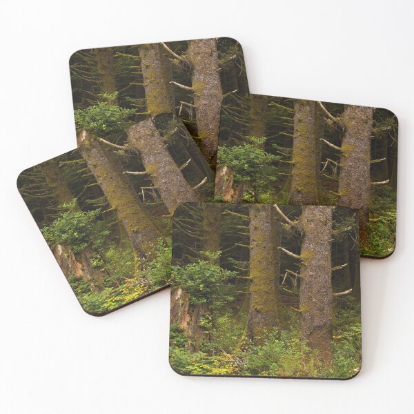 Item preview, A forest ecosystem portrait during October, 2022 designed and sold by jklune.