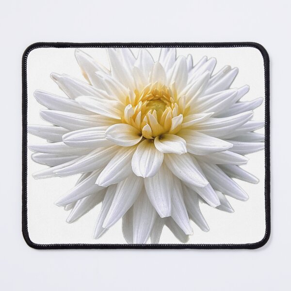 Item preview, flower band on white background - different patterns designed and sold by JukeBoxPixelArt.