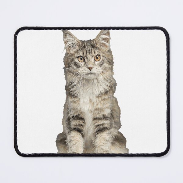 Item preview, Serious Kitten designed and sold by lovleycat.