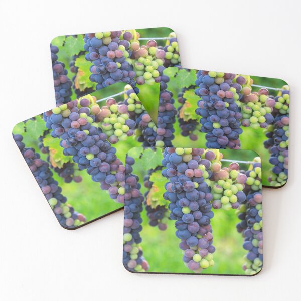 Item preview, Veraison Syrah Shiraz Grape Vineyard designed and sold by Kevin Miller Photography.