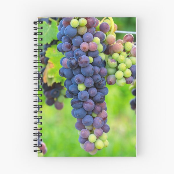 Item preview, Veraison Syrah Shiraz Grape Vineyard designed and sold by Kevin Miller Photography.