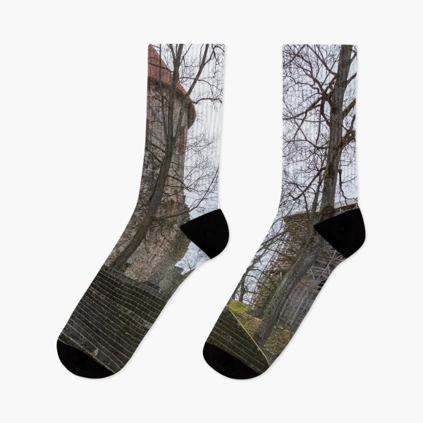 Item preview, Ruins and wide stairs of medieval castle in Cesis, Latvia designed and sold by lena-maximova.