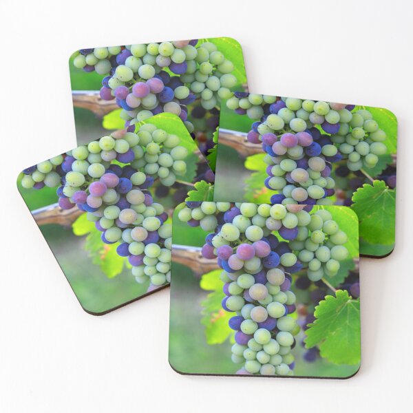 Item preview, Veraison Syrah Shiraz Grape Vineyard designed and sold by Kevin Miller Photography.