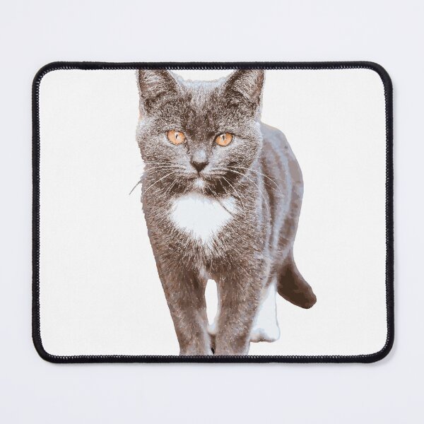 Item preview, Nice Kitten designed and sold by lovleycat.