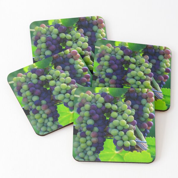Item preview, Veraison Syrah Shiraz Grape Vineyard designed and sold by Kevin Miller Photography.