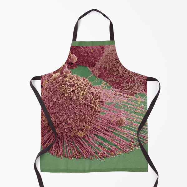 Item preview, Apoptotic HeLa Cell, SEM, Microscope Photo of Cancer Cell designed and sold by ScienceSource.