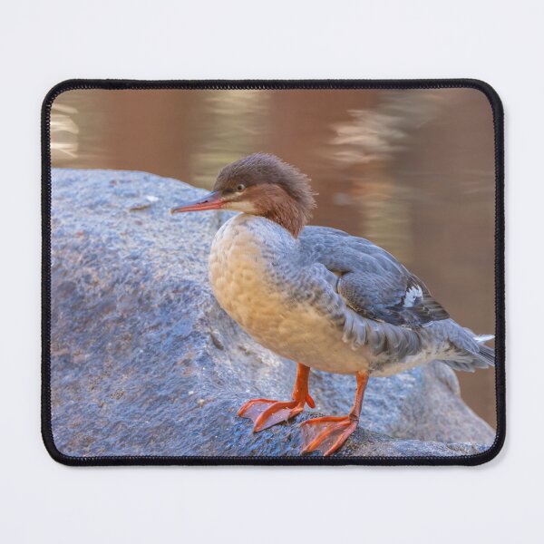 Item preview, Merganser  designed and sold by jvnimages.