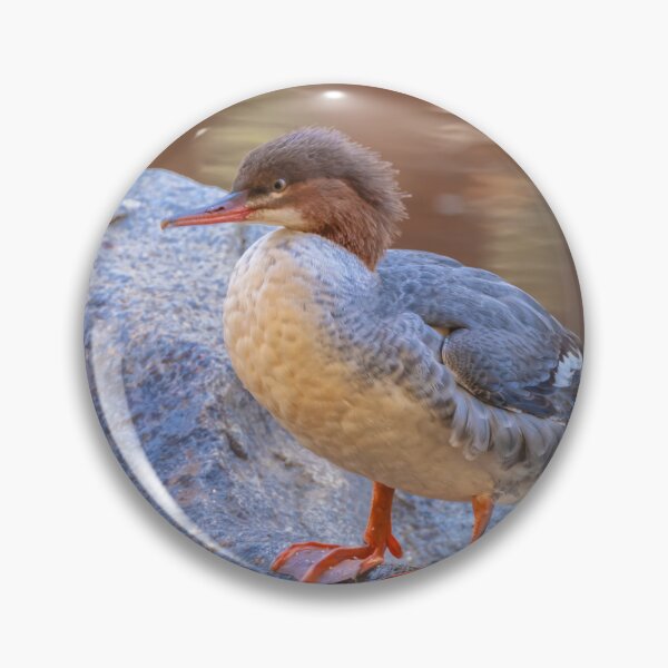 Item preview, Merganser  designed and sold by jvnimages.